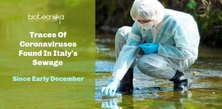 coronaviruses found in Italy's sewage
