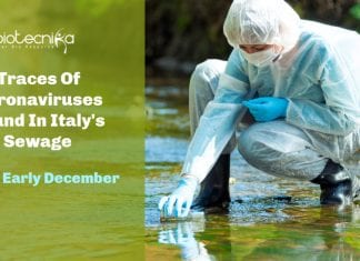 coronaviruses found in Italy's sewage
