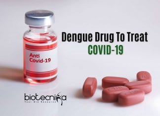 dengue drug to treat COVID-19