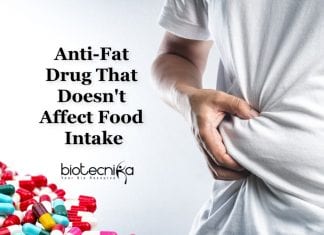 Fat Burning Molecule That Doesn’t Affect Food Intake Discovered Drugs To Burn Fat