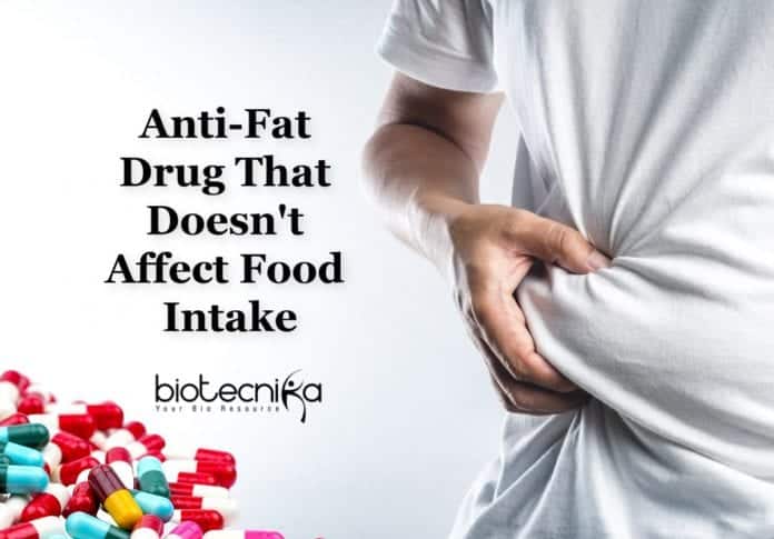 Drugs To Burn Fat