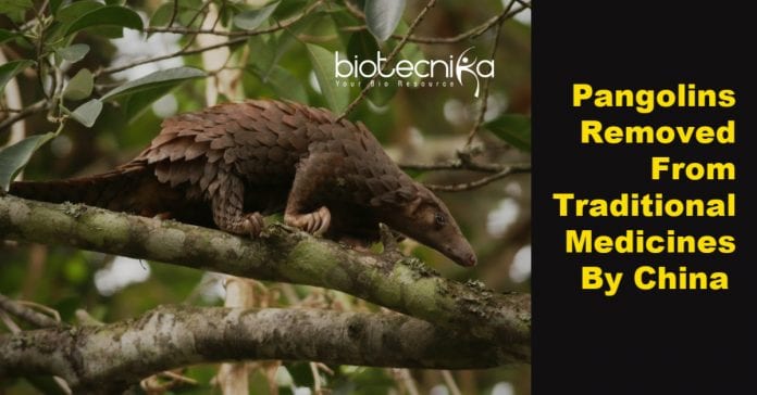 pangolin removed from traditional medicines