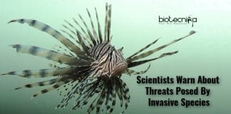 threats by invasive species