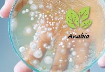Senior Microbiologist Recruitment @ Anabio Technologies Anabio Technologies Senior Microbiologist