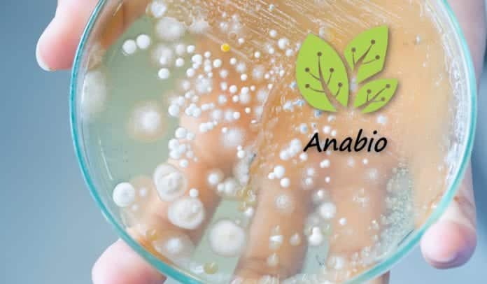 Anabio Technologies Senior Microbiologist