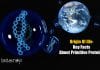 Scientists Explain How Primitive Proteins Could Have Progressed To Form Living Cells protein formation during origin of life