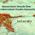 M.tuberculosis Evading Immunity Decoded