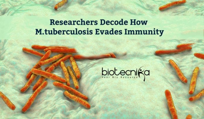 M.tuberculosis Evading Immunity Decoded