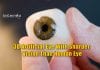3D Artificial Eye With Sharper Vision Than Human Eye Created Artificial Eye With 3D Retina