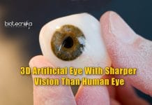 3D Artificial Eye With Sharper Vision Than Human Eye Created Artificial Eye With 3D Retina