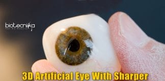 Artificial Eye With 3D Retina