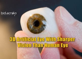 Artificial Eye With 3D Retina