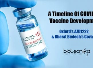A Timeline Of COVID-19 Vaccine Development – Oxford’s AZD1222 & Bharat Biotech’s Covaxin A timeline of vaccine development