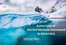 Active Leak of Sea-bed Methane Discovered For The First Time in Antarctica Active Leak of Sea-bed Methane