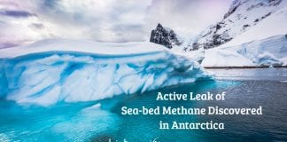 Active Leak of Sea-bed Methane