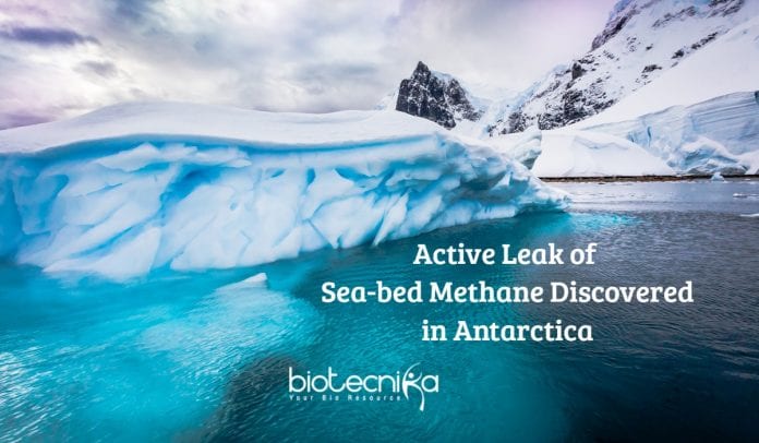 Active Leak of Sea-bed Methane