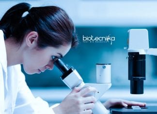 Allahabad University Botany Junior Research Fellowship Opening Allahabad University Botany