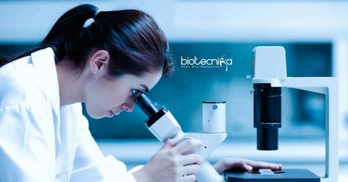 Allahabad University Botany