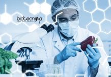 Amity Institute of Food Technology Research Assistant Job – Apply Online Amity Research Assistant Job