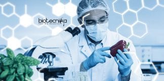 Amity Research Assistant Job