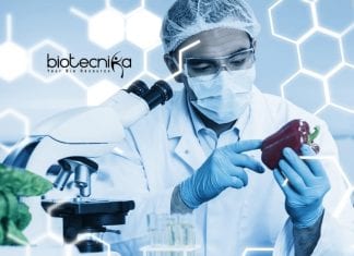 Amity Research Assistant Job