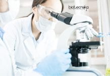 Amity University Institute of Public Health JRF Job Opening Amity University JRF Latest