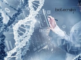 Amity University JRF Recruitment