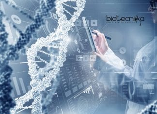 Amity University JRF Recruitment