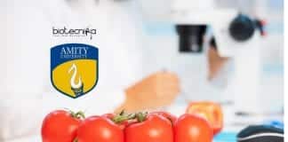 Amity University Project Job