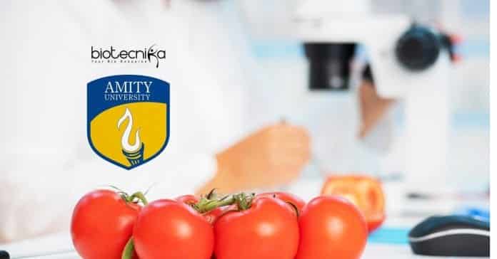Amity University Project Job