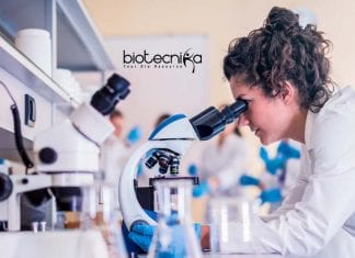 AstraZeneca Safety Scientist Job