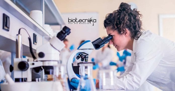 AstraZeneca Safety Scientist Job