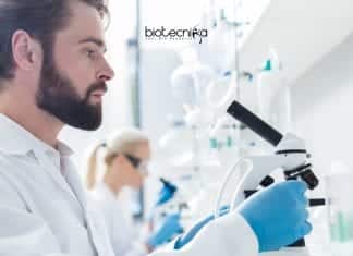 BHU Latest Vacancies