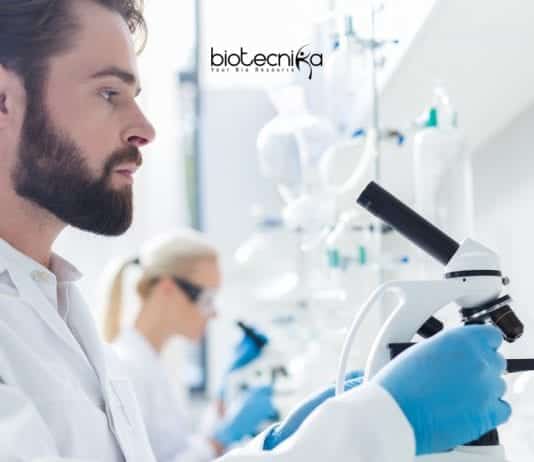 BHU Latest Vacancies