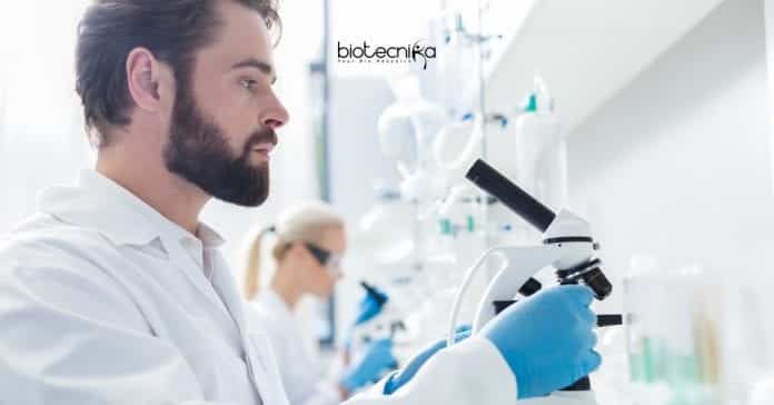 BHU Latest Vacancies