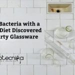 Bacteria With A Metal Diet