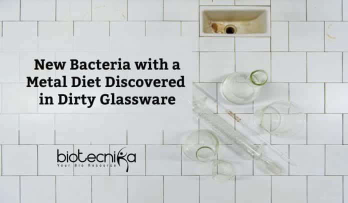 Bacteria With A Metal Diet