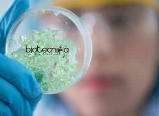 Banaras Hindu University Plant Breeding and Genetics Research Job Banaras Hindu University Genetics