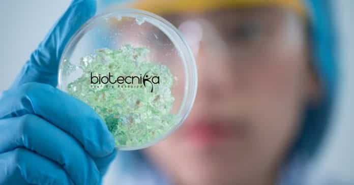 Banaras Hindu University Genetics