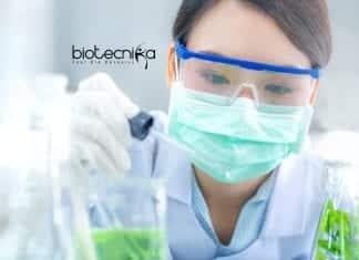 Bharathidasan University Project Assistant