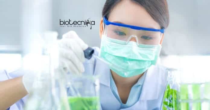 Bharathidasan University Project Assistant
