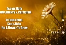 Biotecnika Times – Newsletter 27.07.2020 – PMRF 2020 Updates, Novozymes Internship