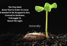 Biotecnika Times – Newsletter 13.07.2020 – Newton Bhabha PhD Placement, Govt CCRAS-NARIP