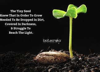 Biotecnika Times – Newsletter 13.07.2020 – Newton Bhabha PhD Placement, Govt CCRAS-NARIP