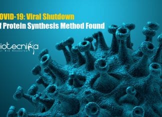 COVID-19 Viral Shutdown of Protein Synthesis