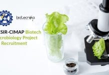 Govt CSIR-CIMAP Biotech & Microbiology Project Recruitment CSIR-CIMAP Biotech Job