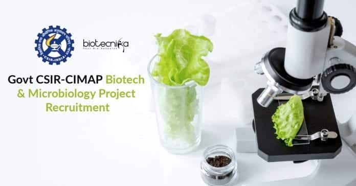CSIR-CIMAP Biotech Job