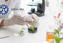 CSIR-CSIO Biotech Project Recruitment – Online Applications Invited CSIR-CSIO Biotech Project Recruitment