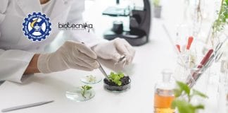 CSIR-CSIO Biotech Project Recruitment