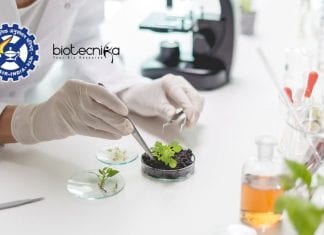 CSIR-CSIO Biotech Project Recruitment